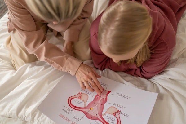 Duas mulheres olhando a imagem do sistema reprodutivo feminino