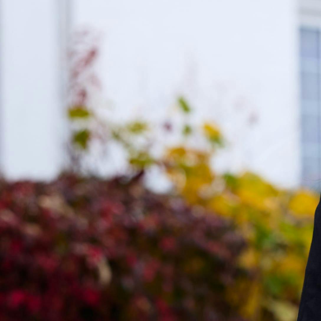 blurred view of red and yellow leaves on a bush