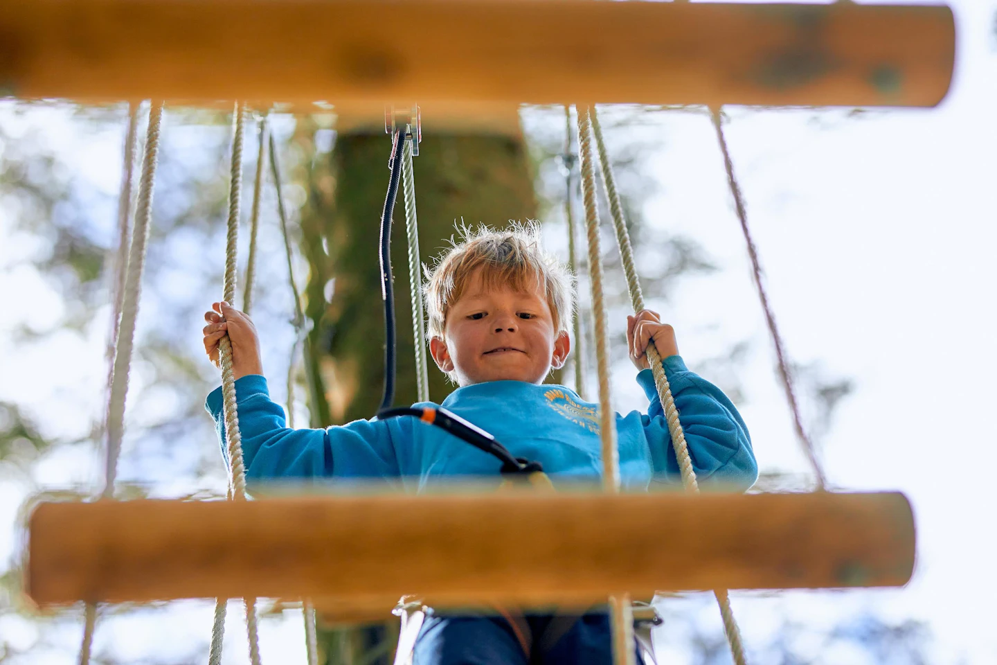 Treetop Adventure Haldon | Kids’ High Ropes Devon