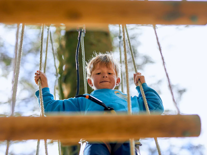 Young person on a high ropes course.