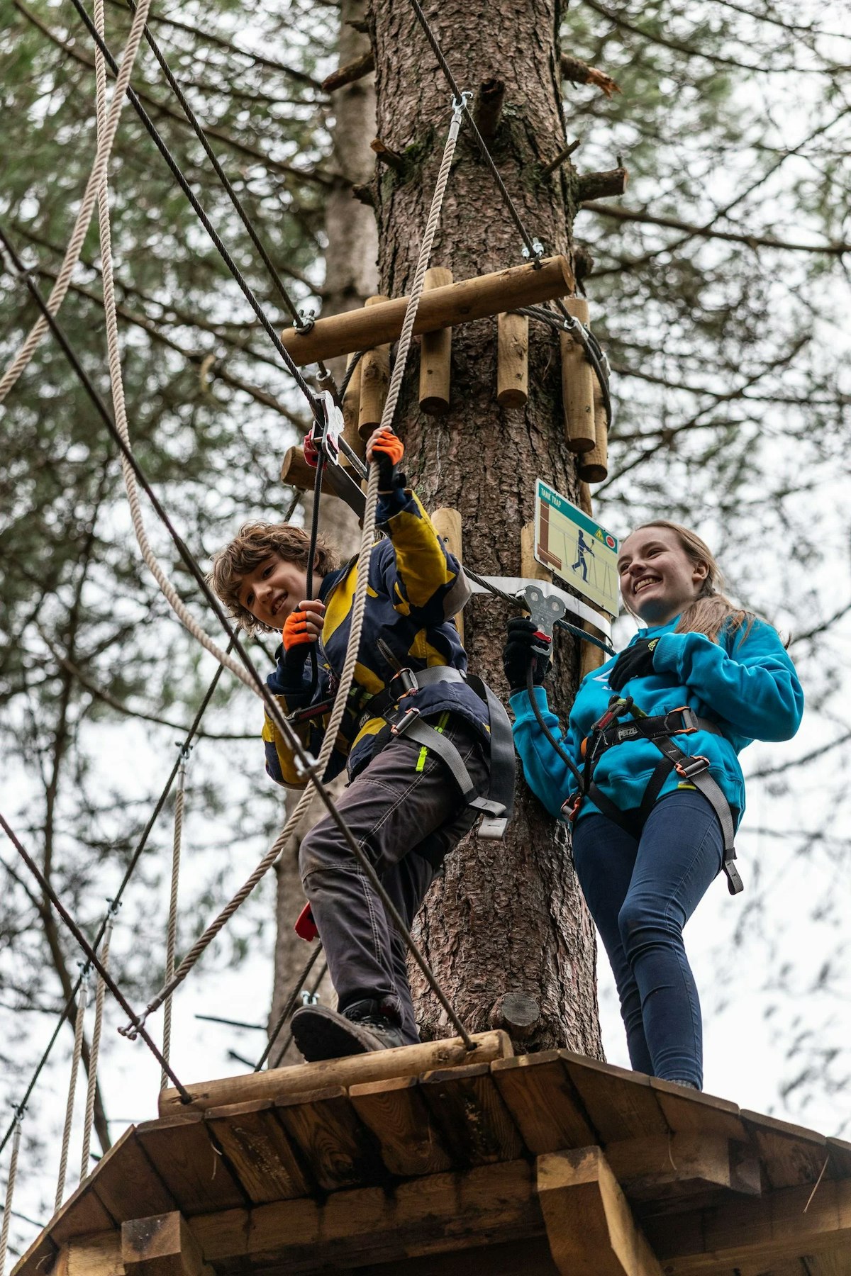 Treetop Adventure Plus | Go Ape Kids’ High Ropes (6+)