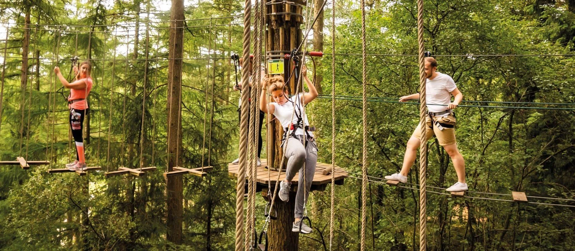People on a high ropes course.
