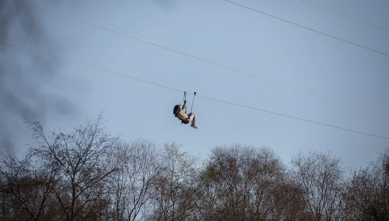 One pass, all the thrills