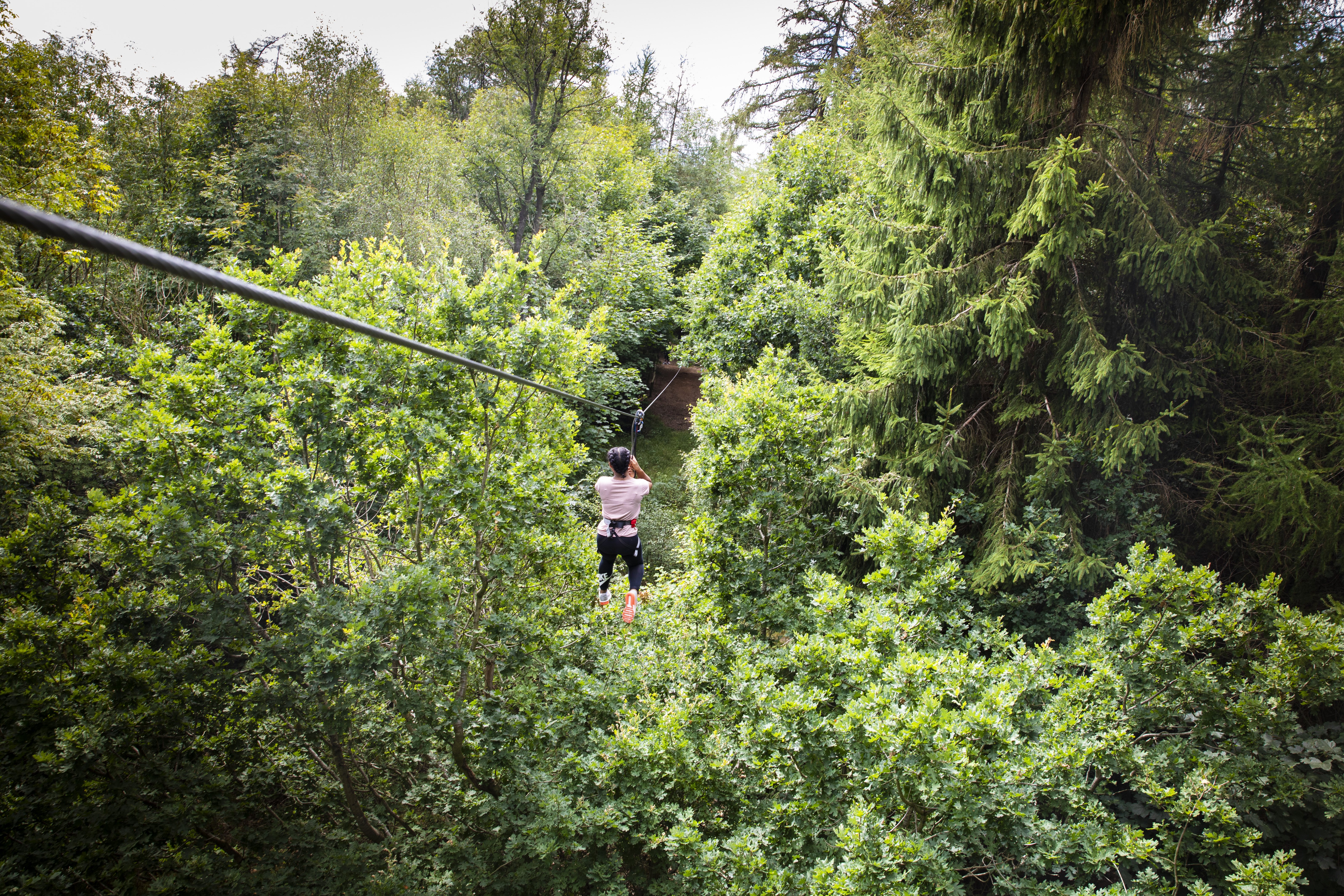 Person on a zip wire in the distance surrounded by trees.