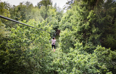Person on a zip wire in the distance surrounded by trees.