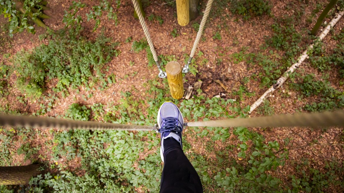 Go Ape Normanby Hall | High Ropes Adventures Lincolnshire