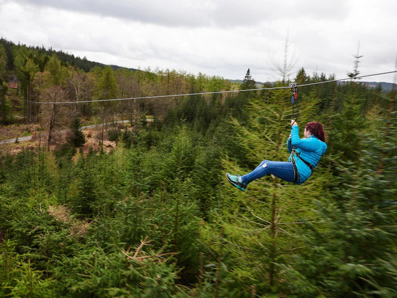 Person on a zip wire in front of trees.