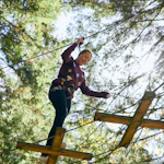 Treetop Adventure Plus