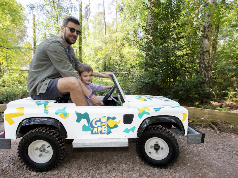 Adult and young person in a Mini Land Rover on a track in the forest.