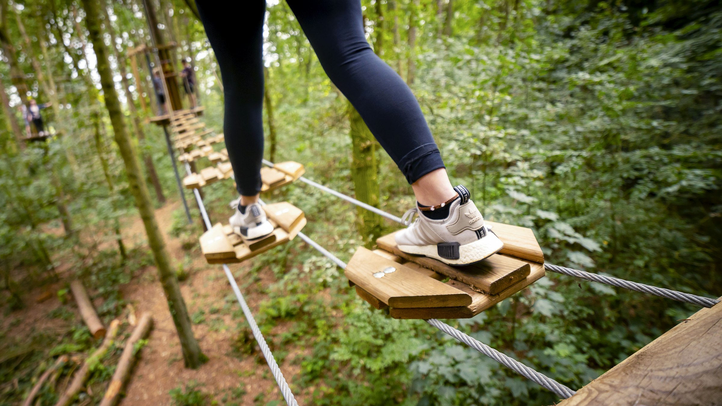 Go Ape Bedgebury, from Go Ape Bedgebury