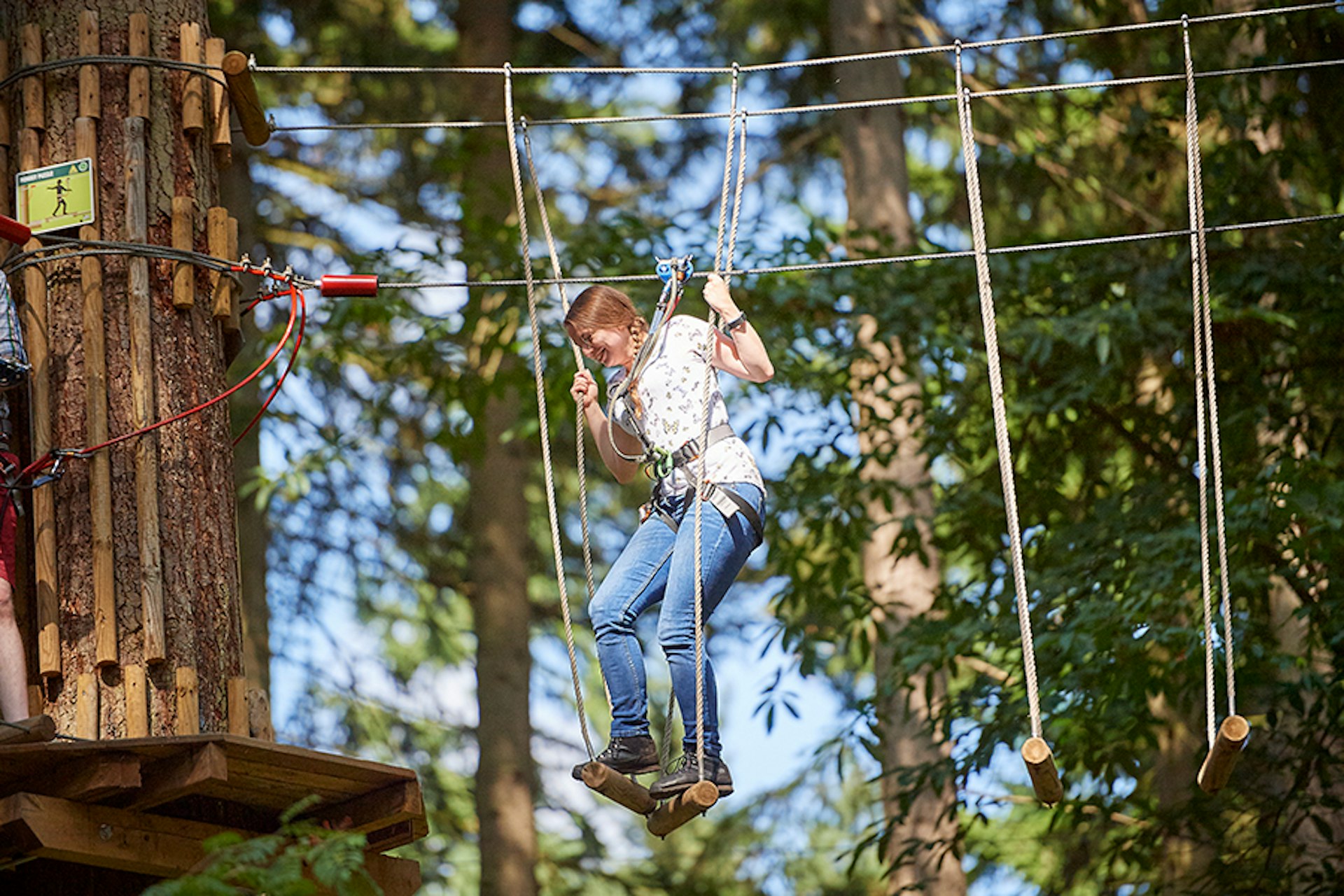 Go Ape Crawley (Tilgate), from Go Ape