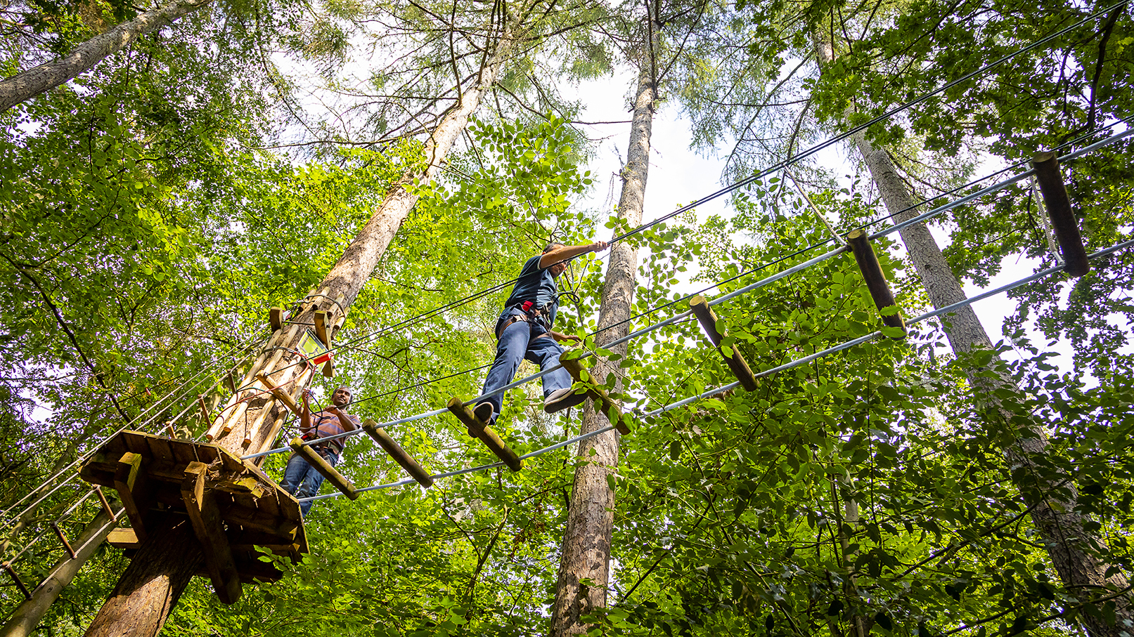 Person above on a high ropes course.