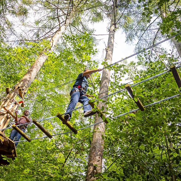 Person above on a high ropes course.