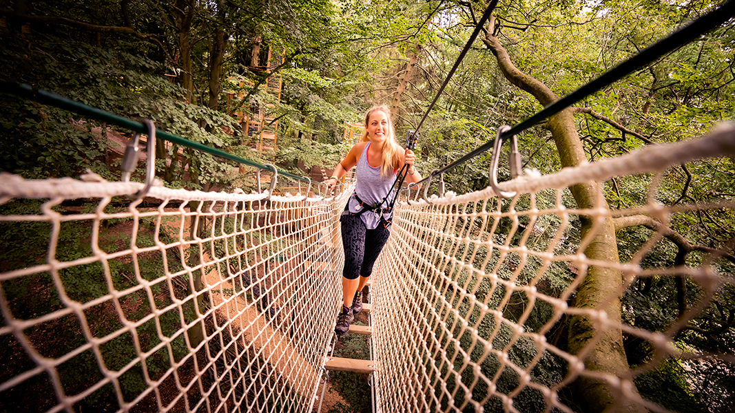 Person crossing a rope bridge while wearing a harness.