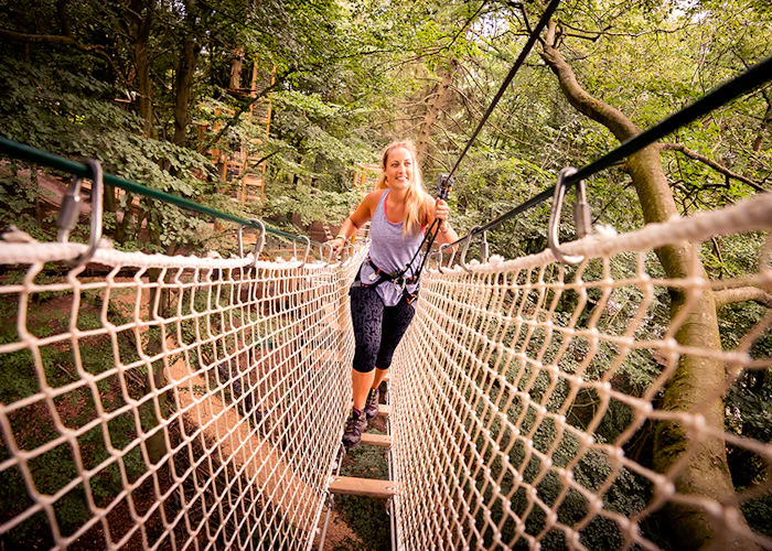 Person crossing a rope bridge while wearing a harness.