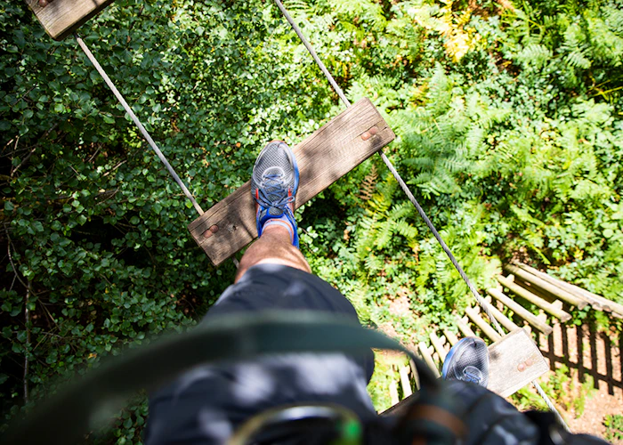 Focus on a person's trainers as they step across a high ropes crossing with the forest floor below.