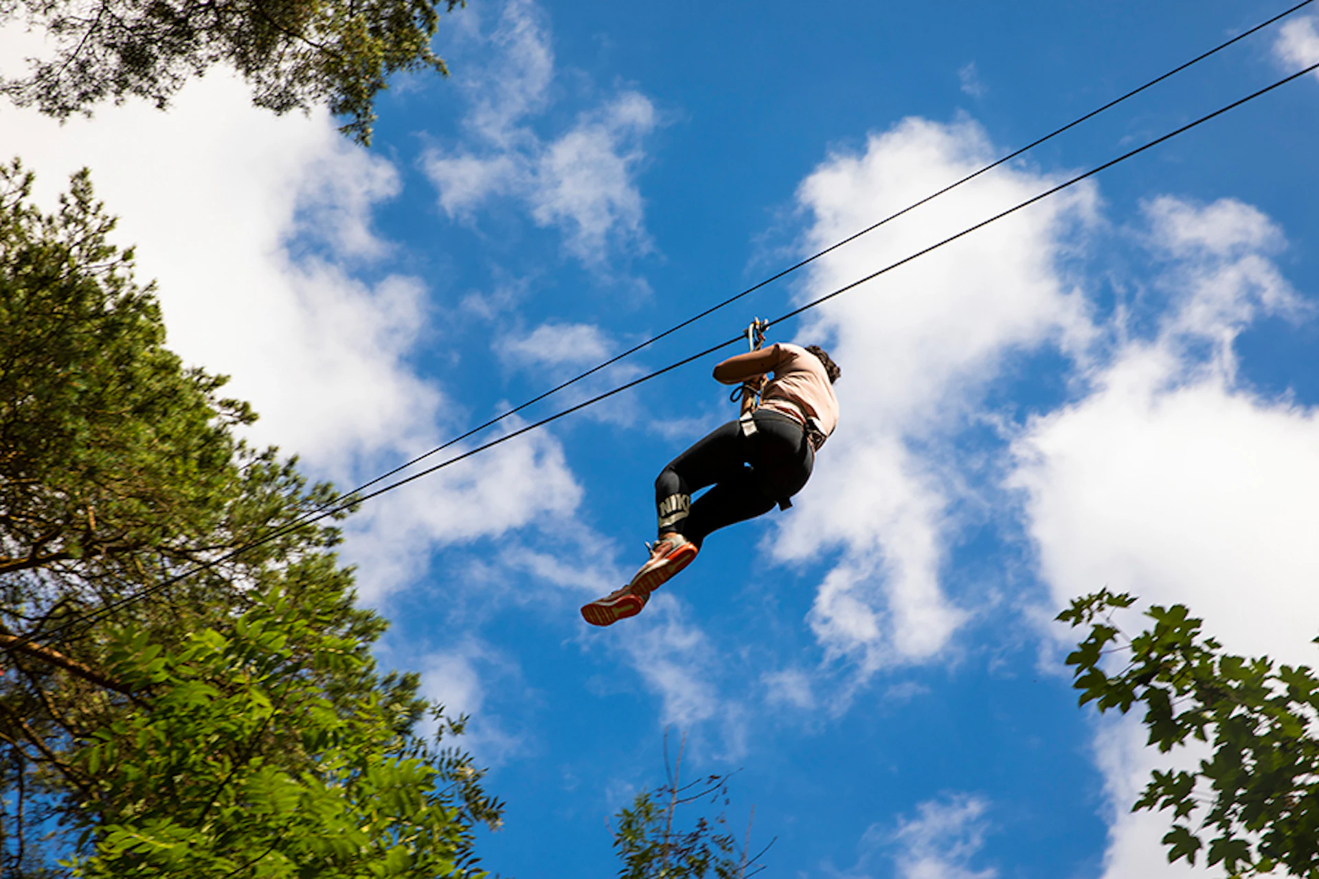 Person on a zipline above on a sunny day.