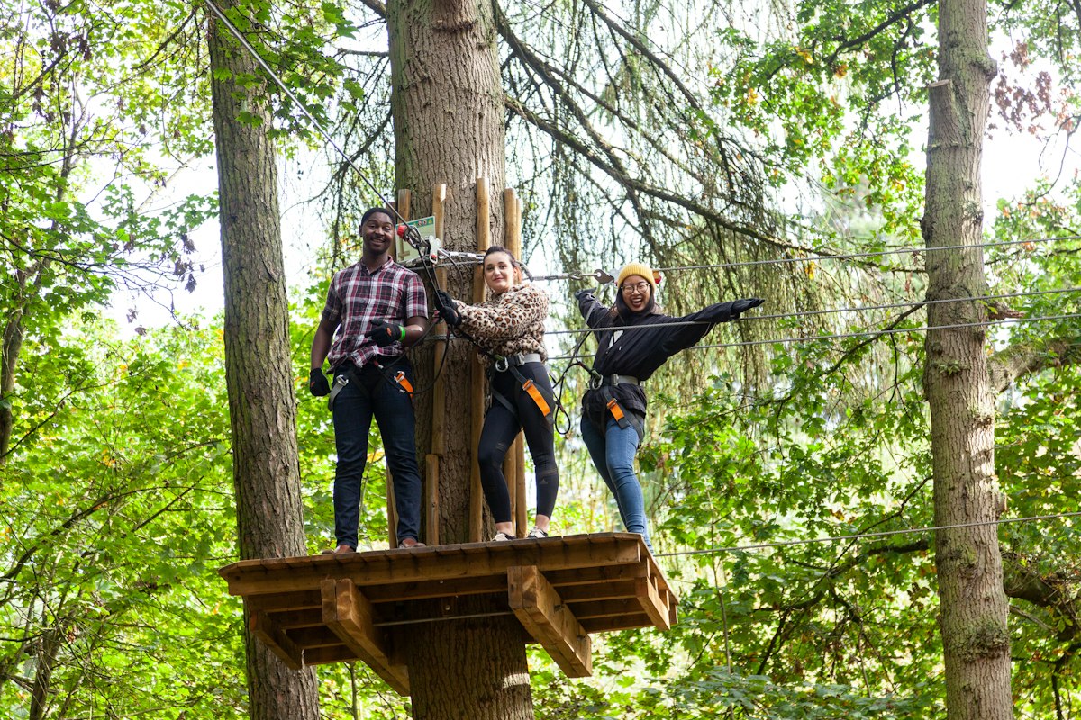 Treetop Challenge Coventry | Go Ape High Ropes