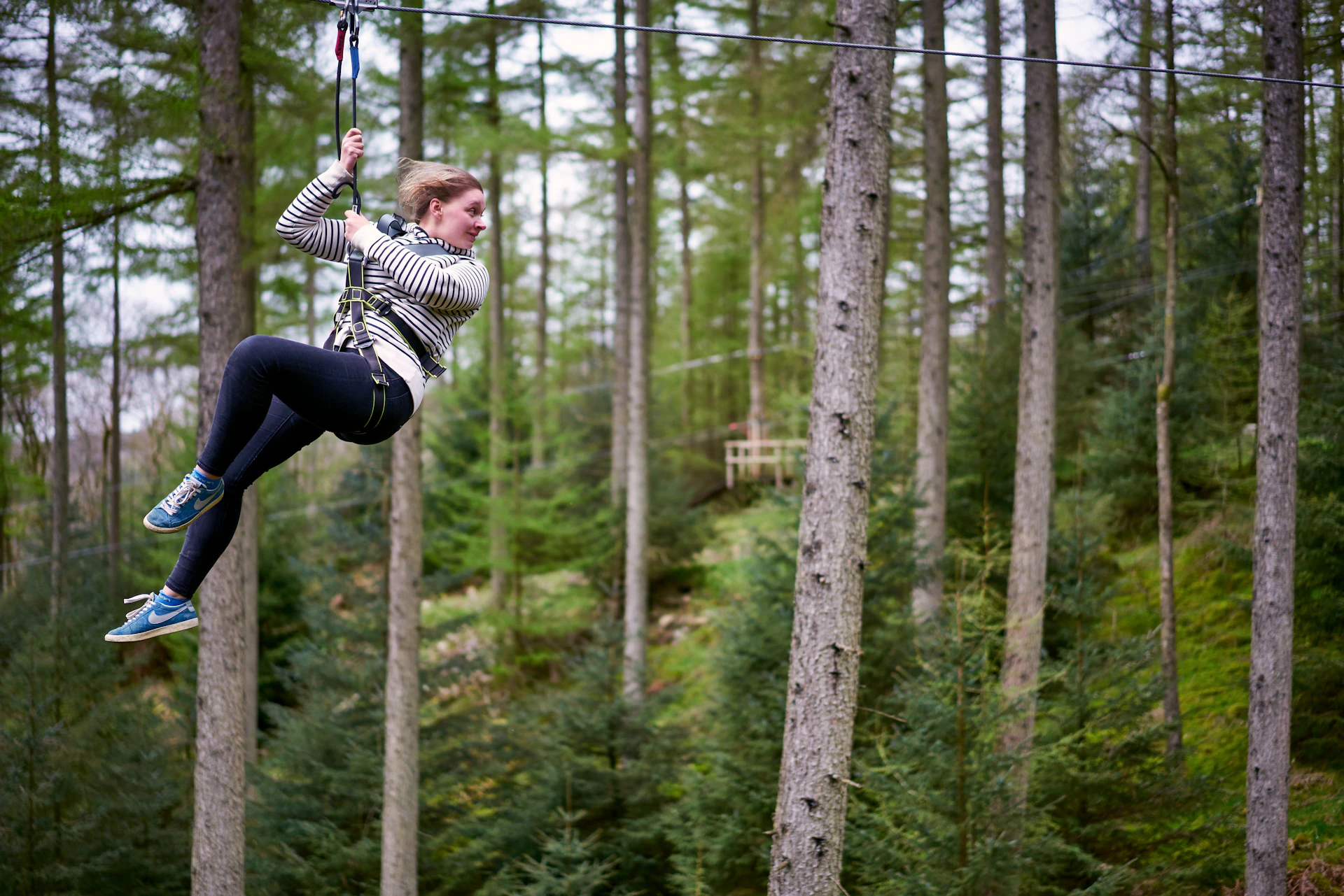 Person on a zipline in front of trees.