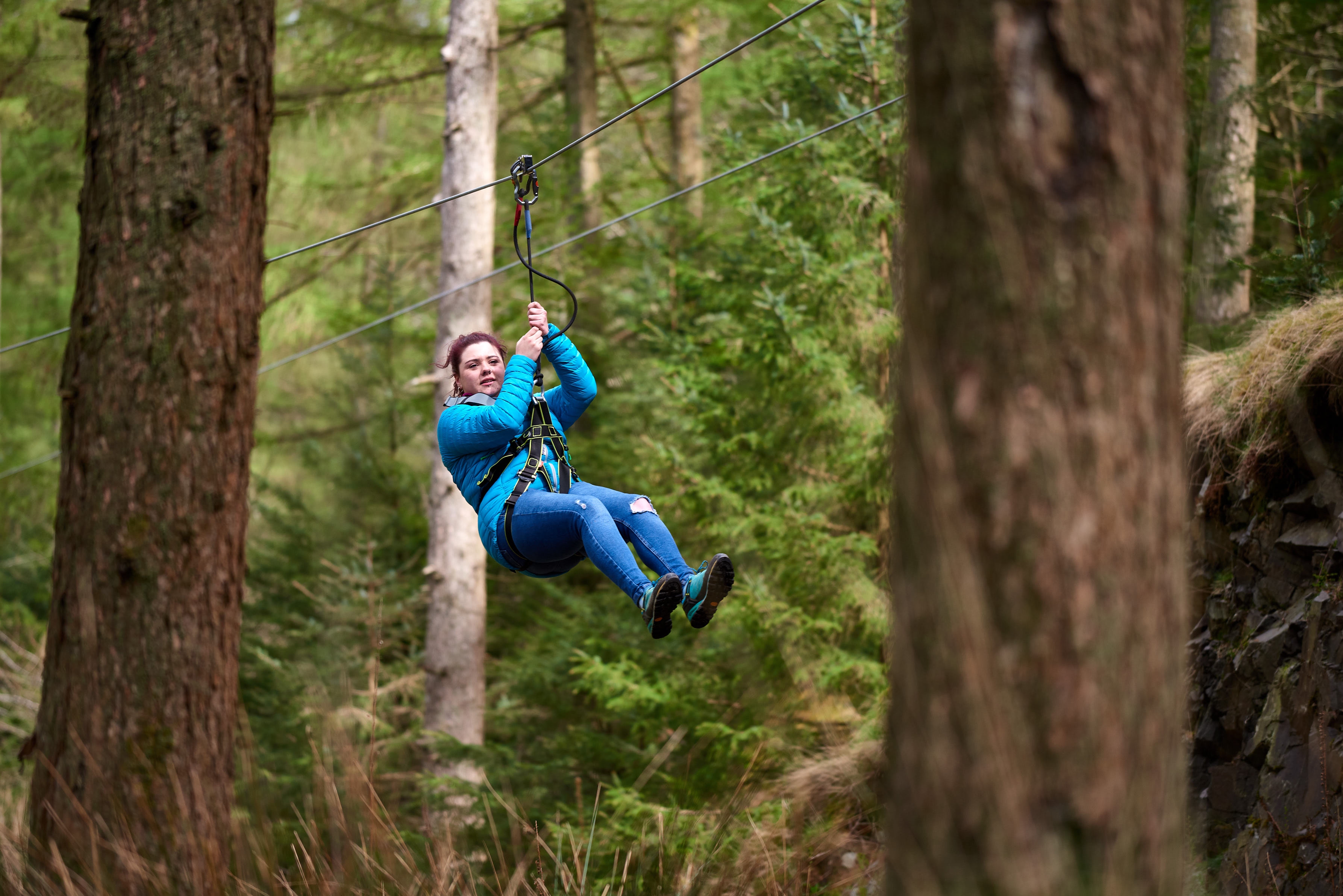 Person on a zipline in front of trees.