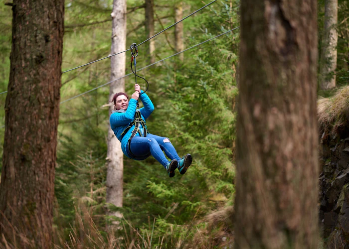 Person on a zipline in front of trees.