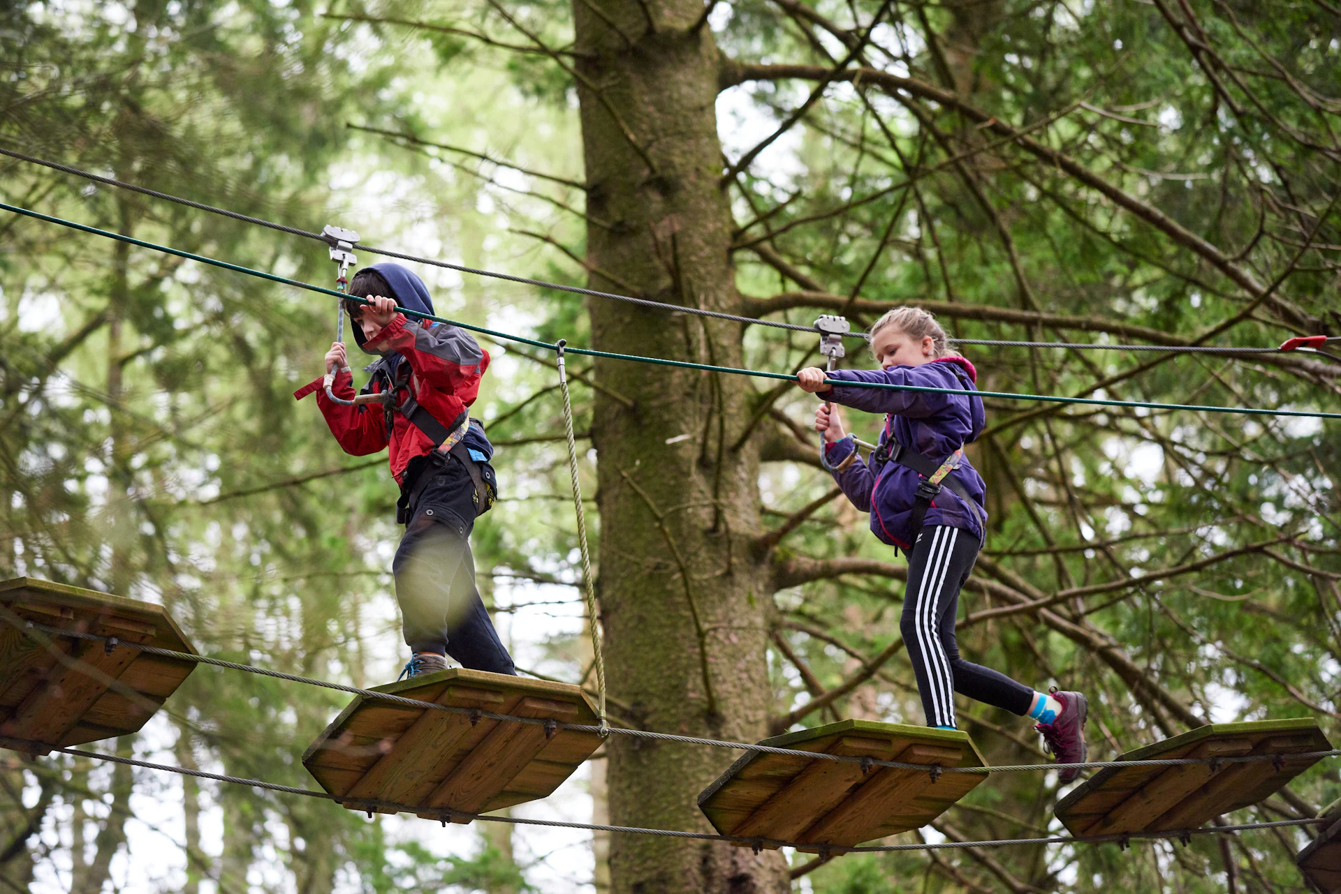 Two young people on a high ropes course.