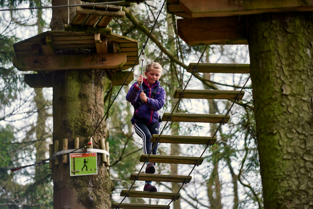 Treetop Adventure Sherwood Pines | First Kids High Ropes
