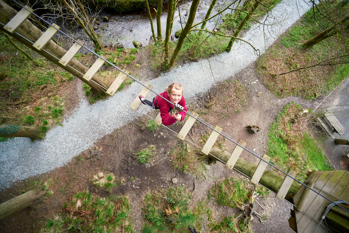 Treetop Adventure Plus Grizedale | Kids’ High Ropes