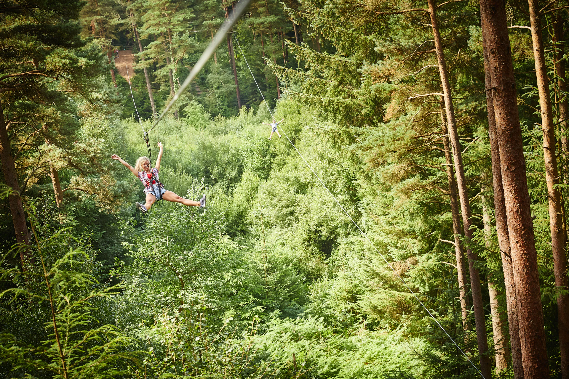Person on a zipline in the distance surrounded by trees.