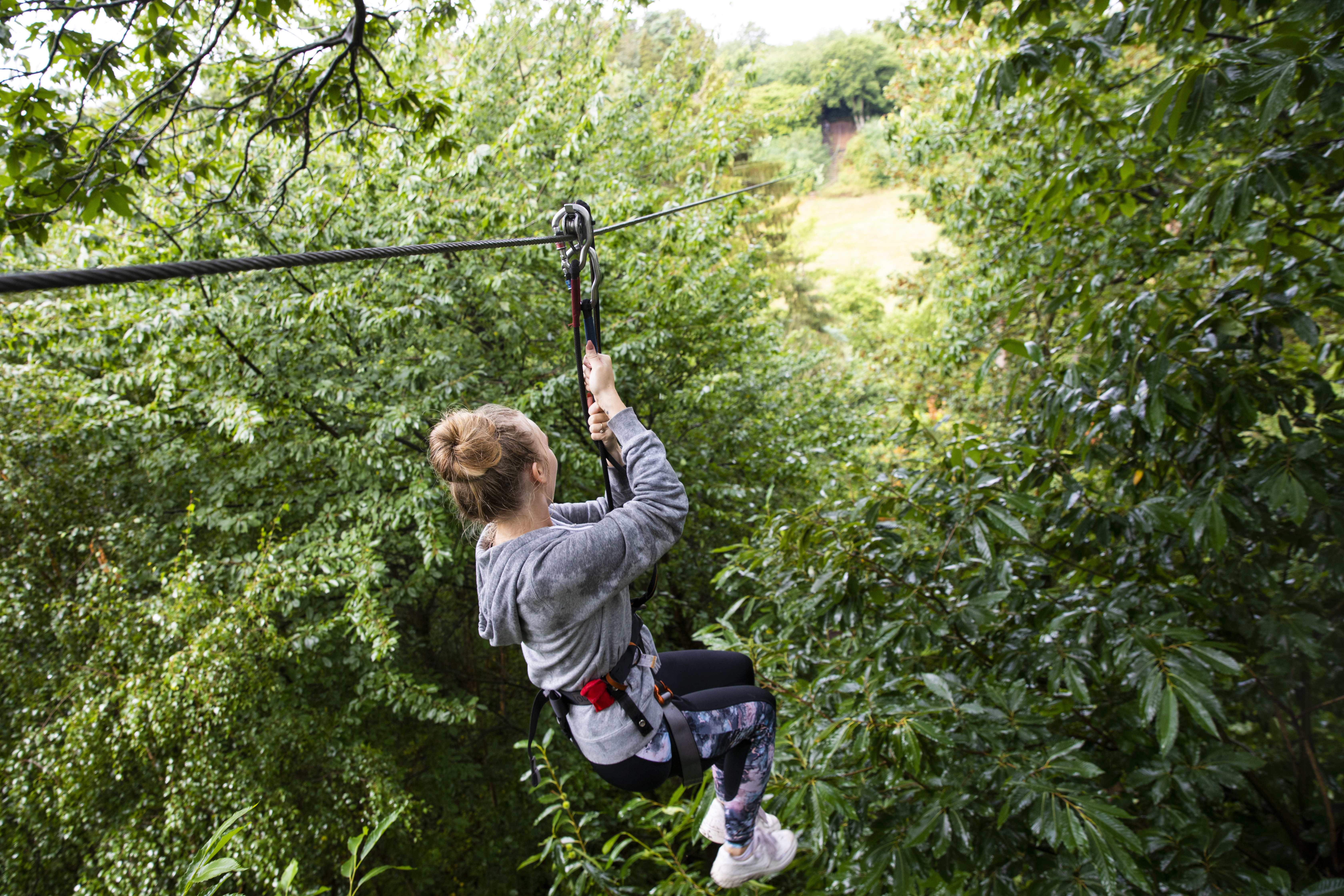 A woman departs down a forest zip wire surrounded by trees