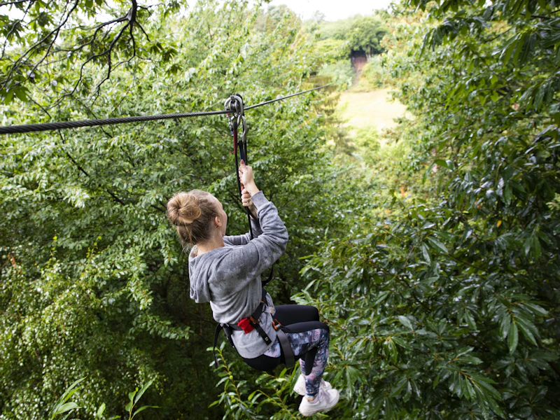 Zip wire through the trees A woman departs down a forest zip wire surrounded by trees
