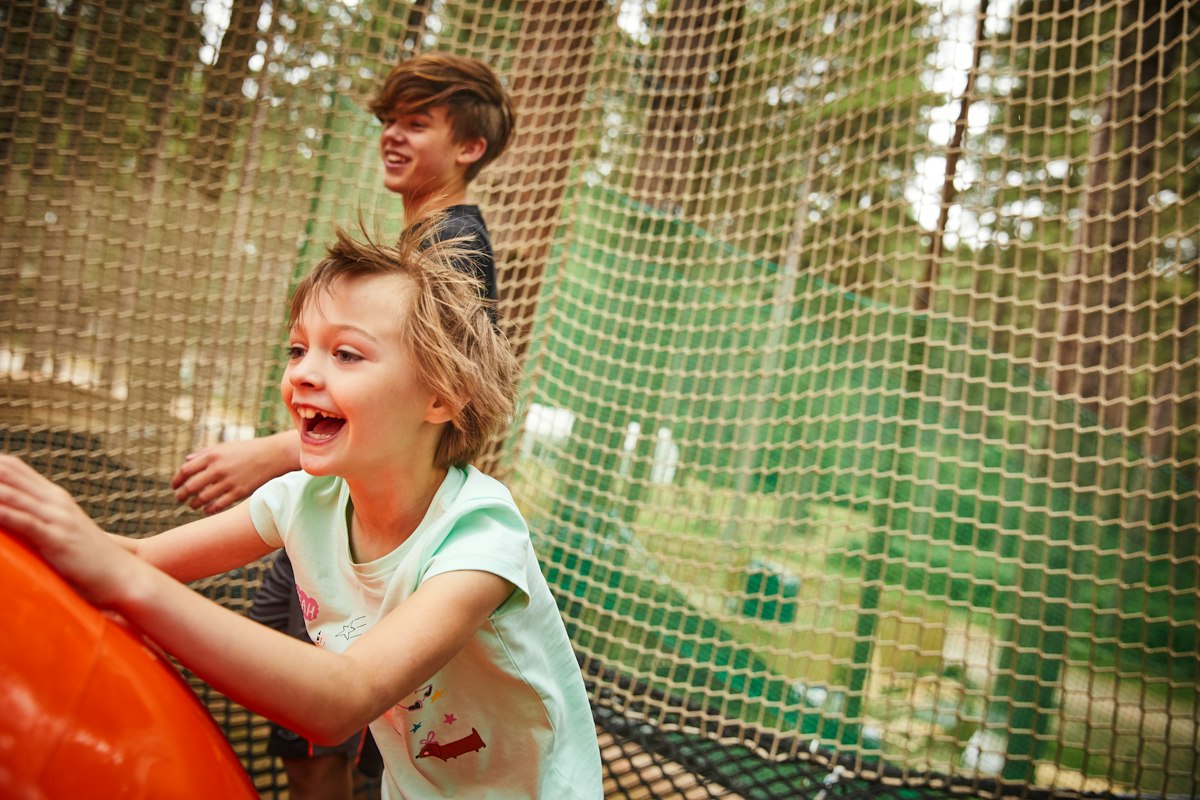 Go Ape Sherwood Pines | Outdoor High Ropes Near Nottingham