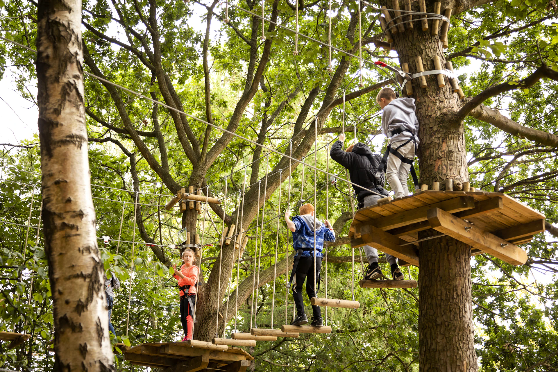 Young people on a high ropes course in the forest.