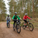 Forest Biking