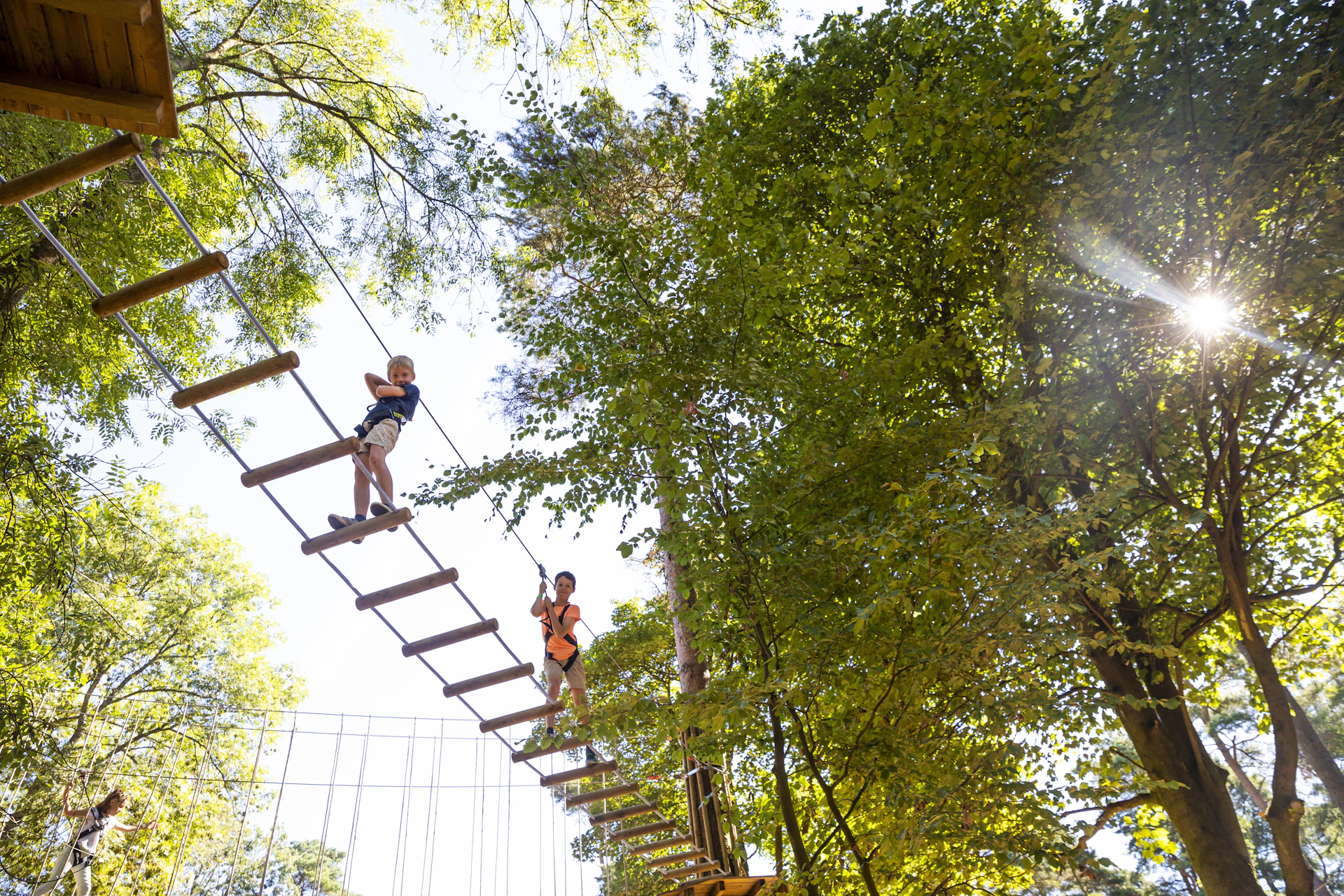 Young people cross a high ropes course.