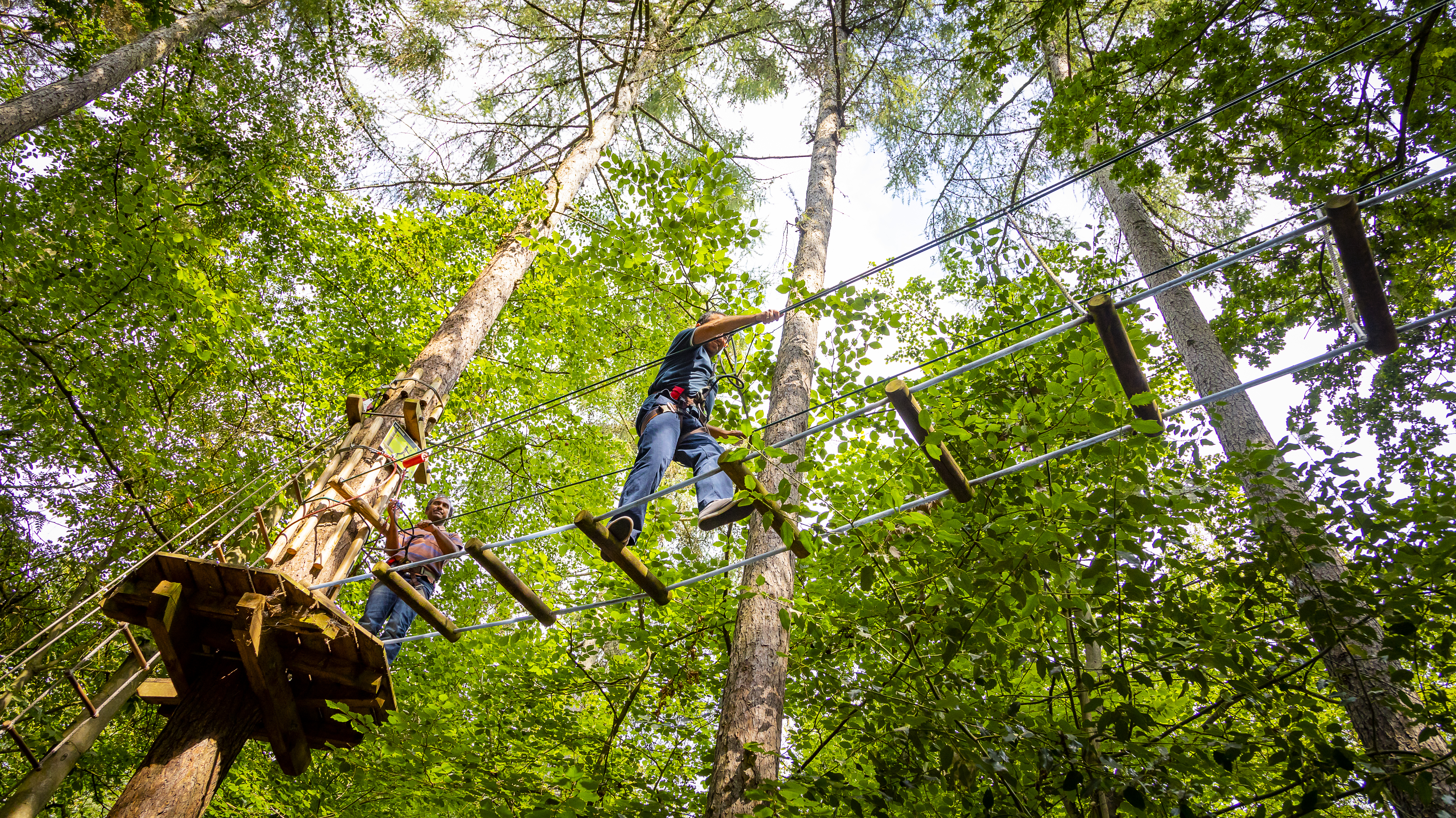 Person above on a high ropes crossing.