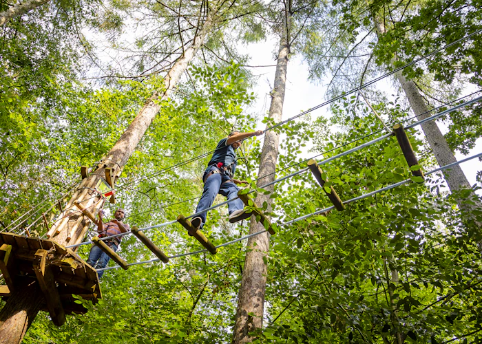 Person above on a high ropes crossing.