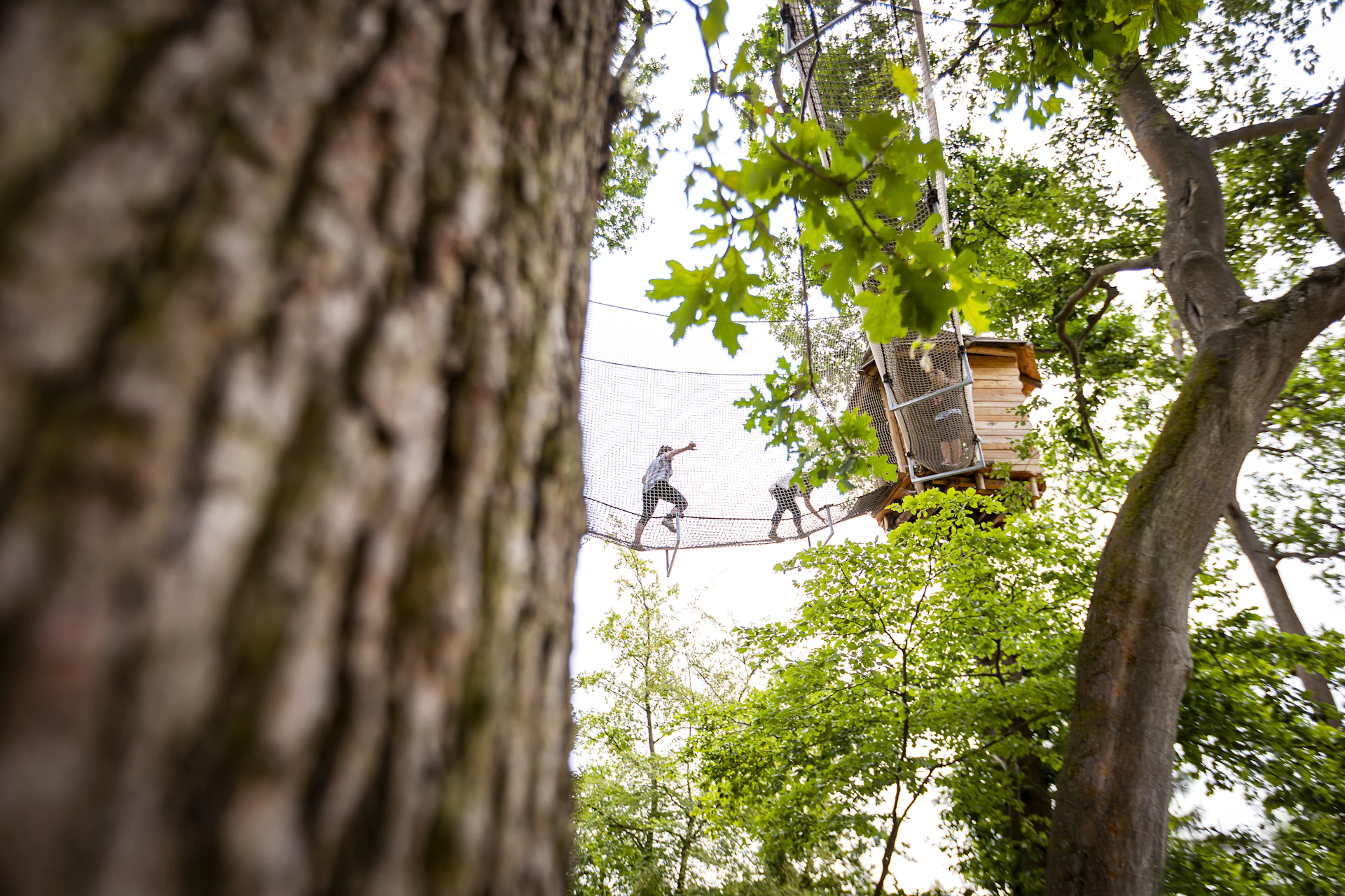 People on a nets crossing towards a wooden treehouse.