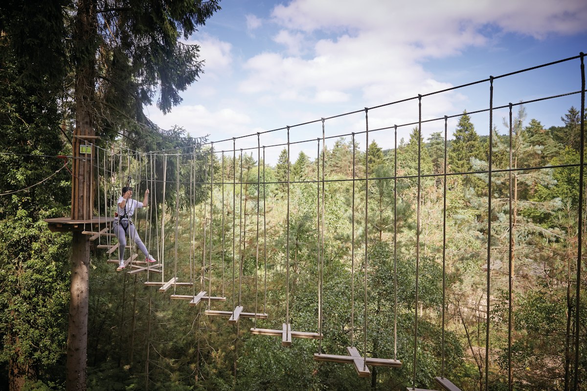 Treetop Challenge Mallards Pike | Go Ape High Ropes