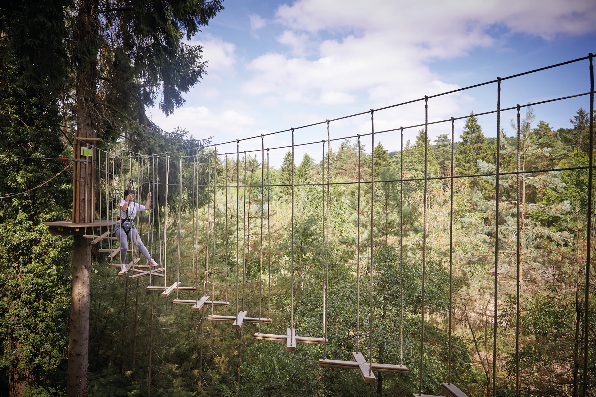 Person on a high ropes course.