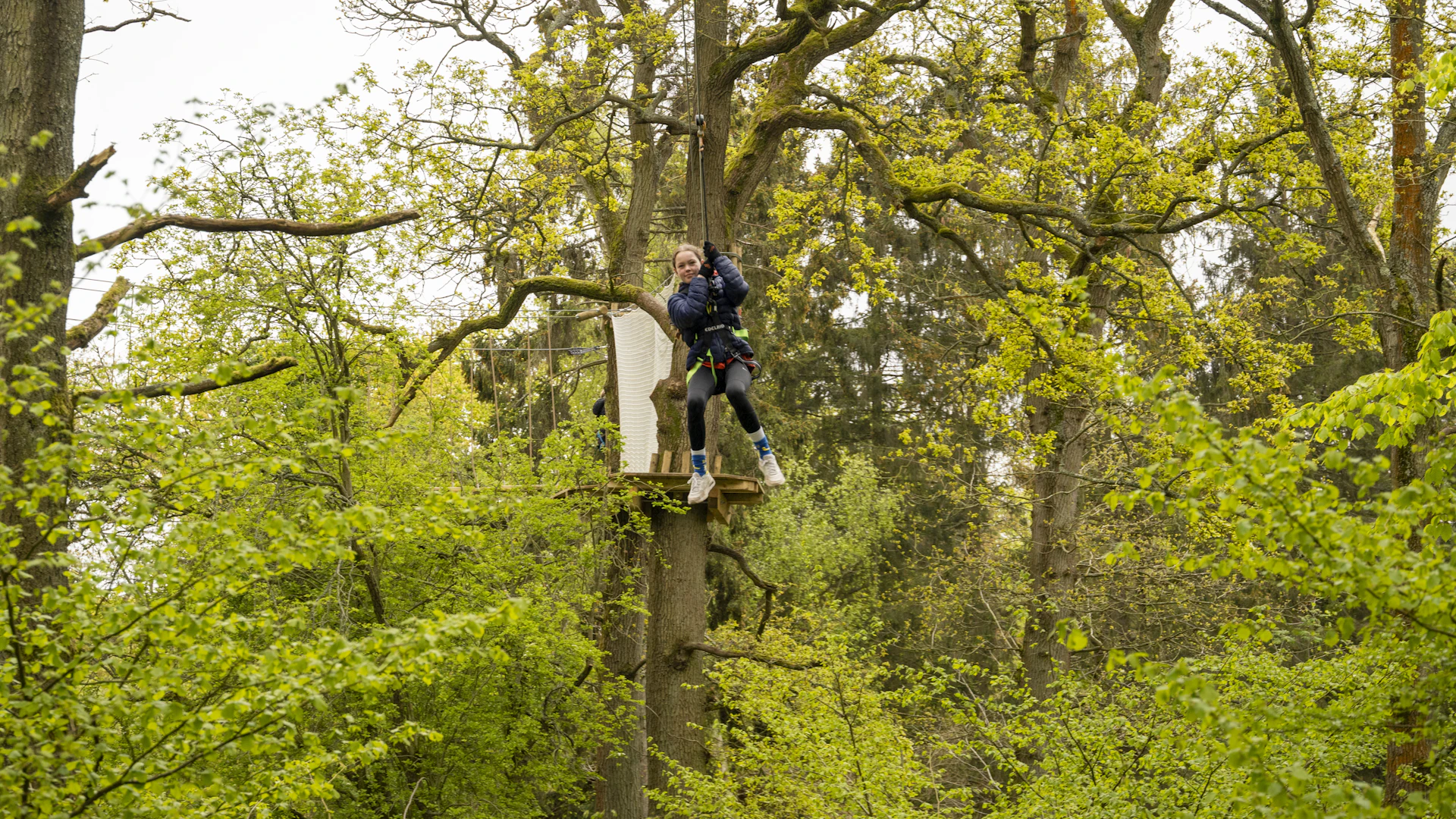 Person on a zipline near trees.