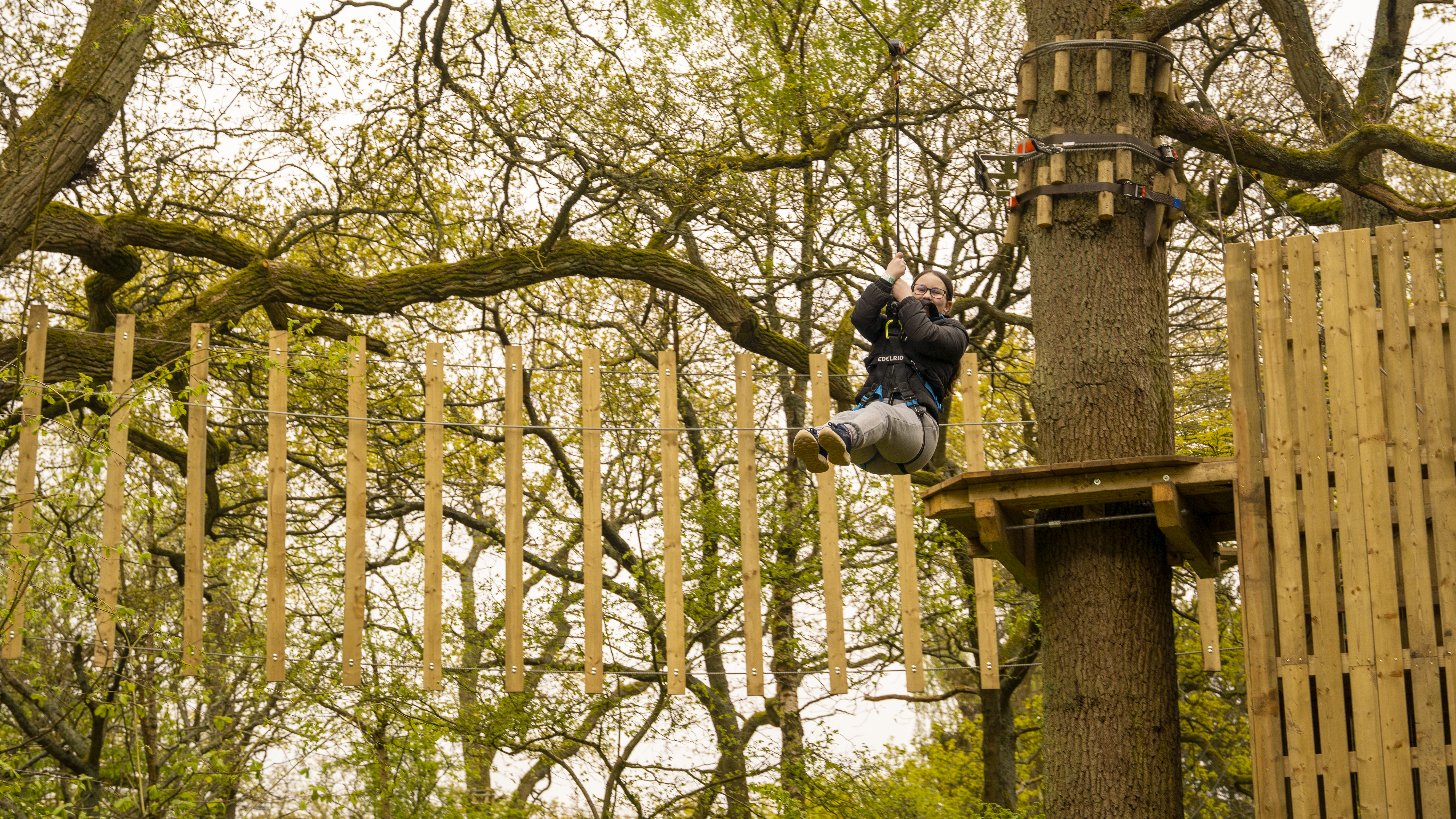 Treetop Adventure Salcey Forest | Kids' High Ropes