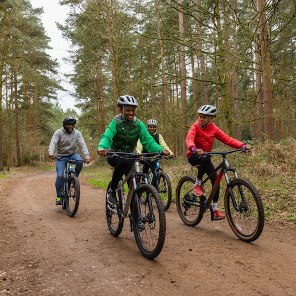 A family cycling in the forest