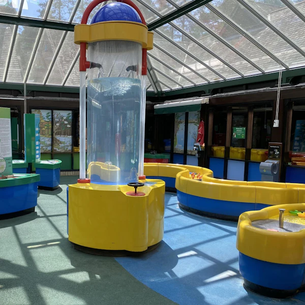 Science activities at the Lookout Discovery Centre in Swinley Forest, Bracknell