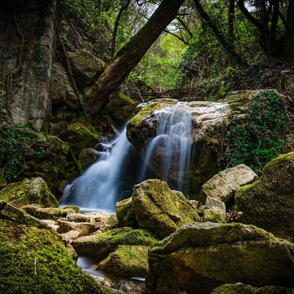 A waterfall in the forest