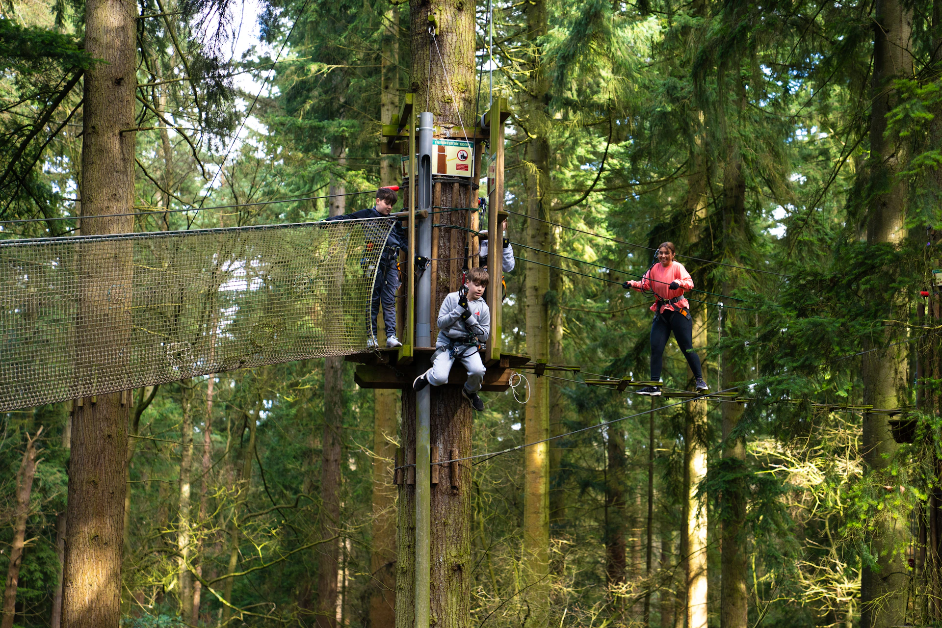 A boy bravely steps off the platform on a Tarzan Swing whilst his family watch