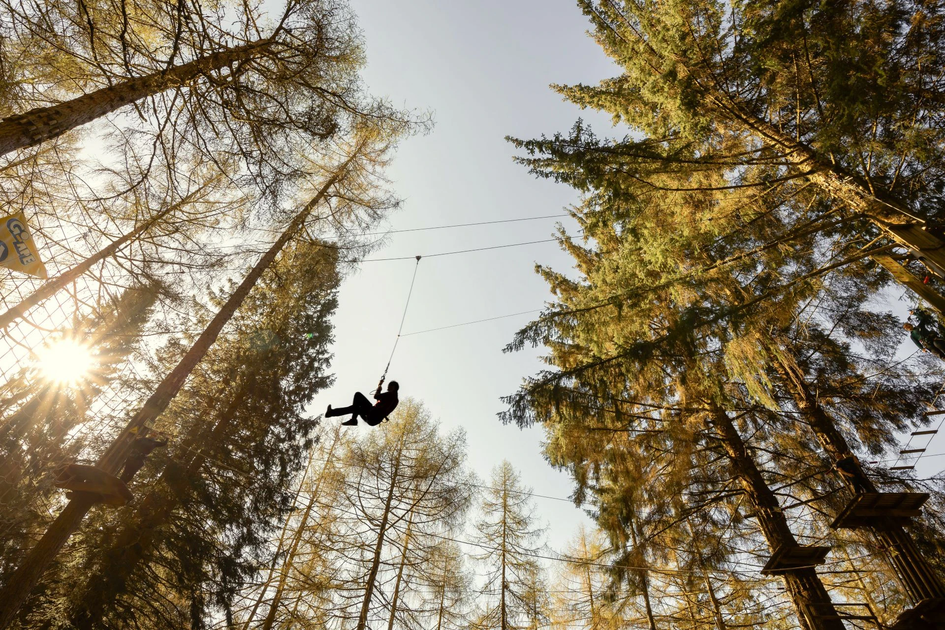 Silhouette of a person on a zipline above surrounded by trees.