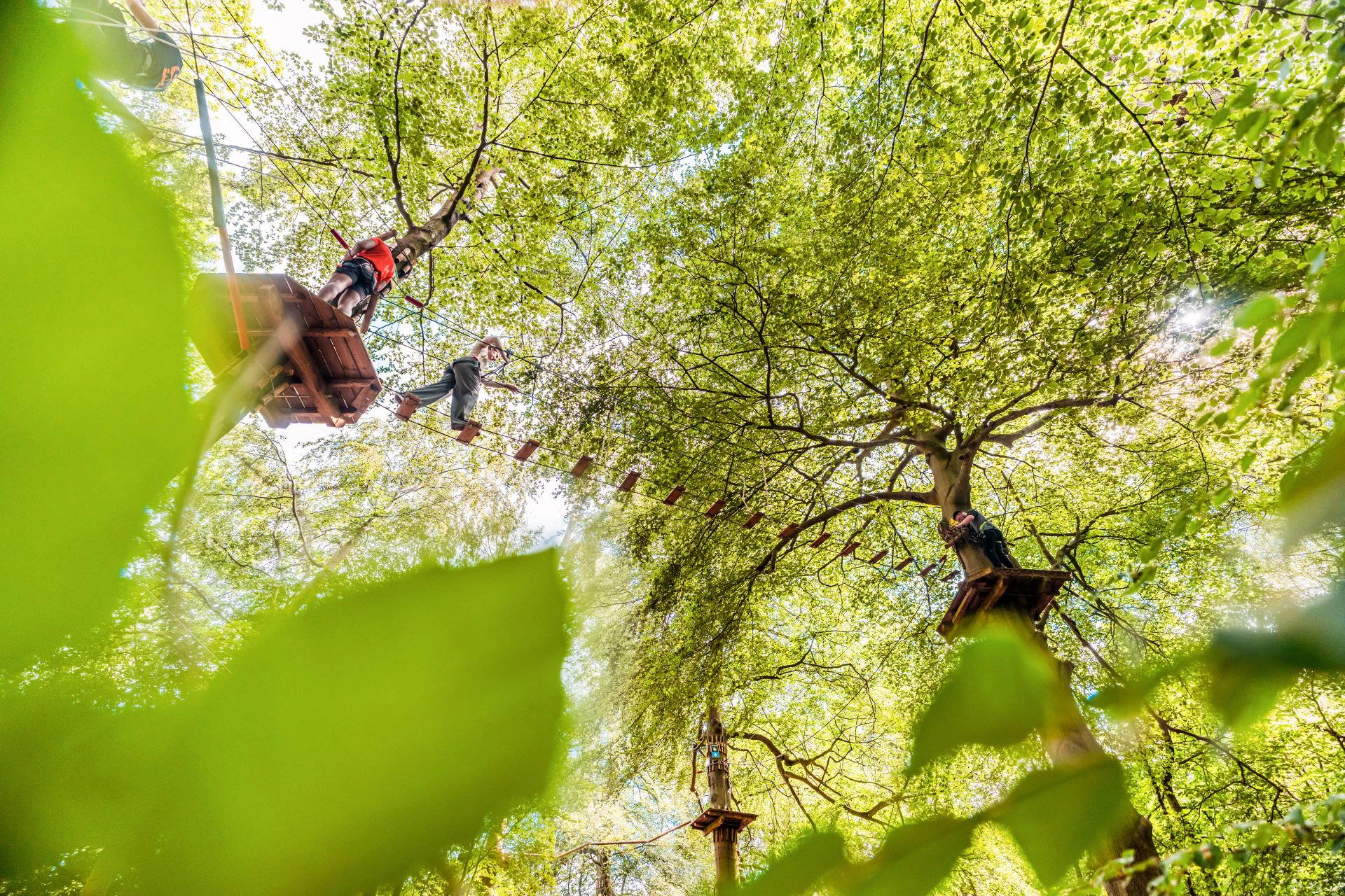 People on a tree top crossing above.