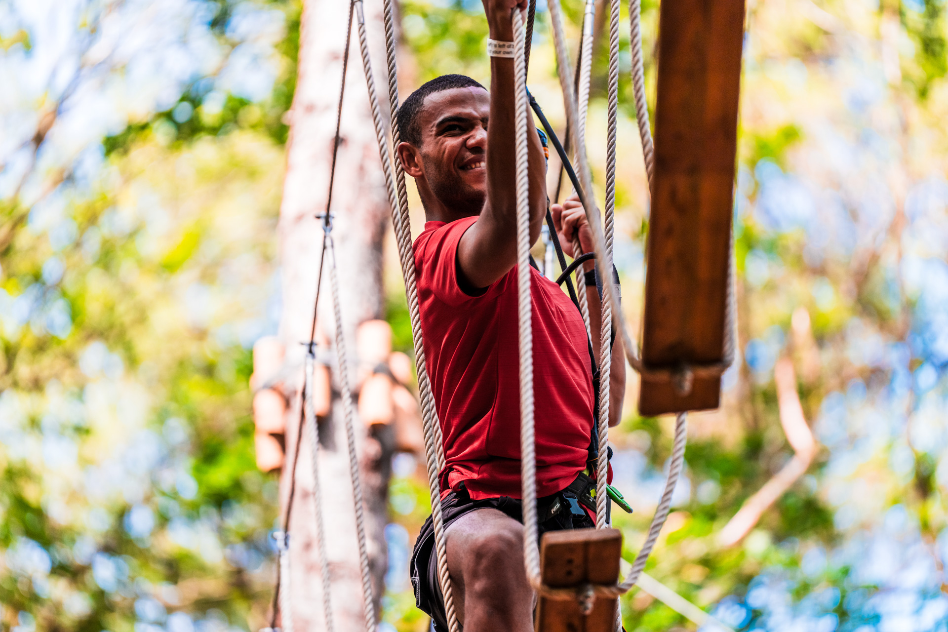Treetop Challenge
