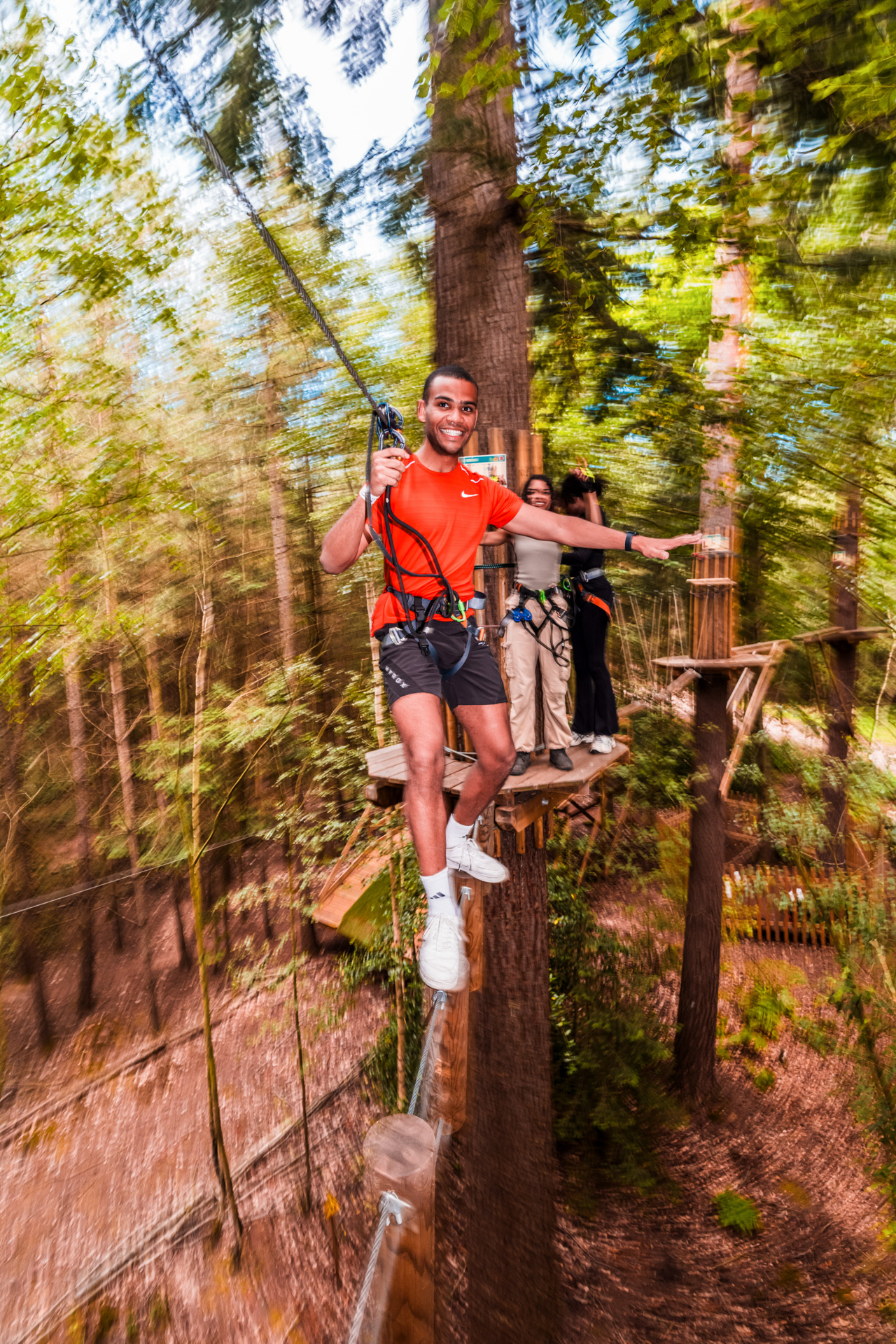 A man balances on a high ropes crossing in the forest